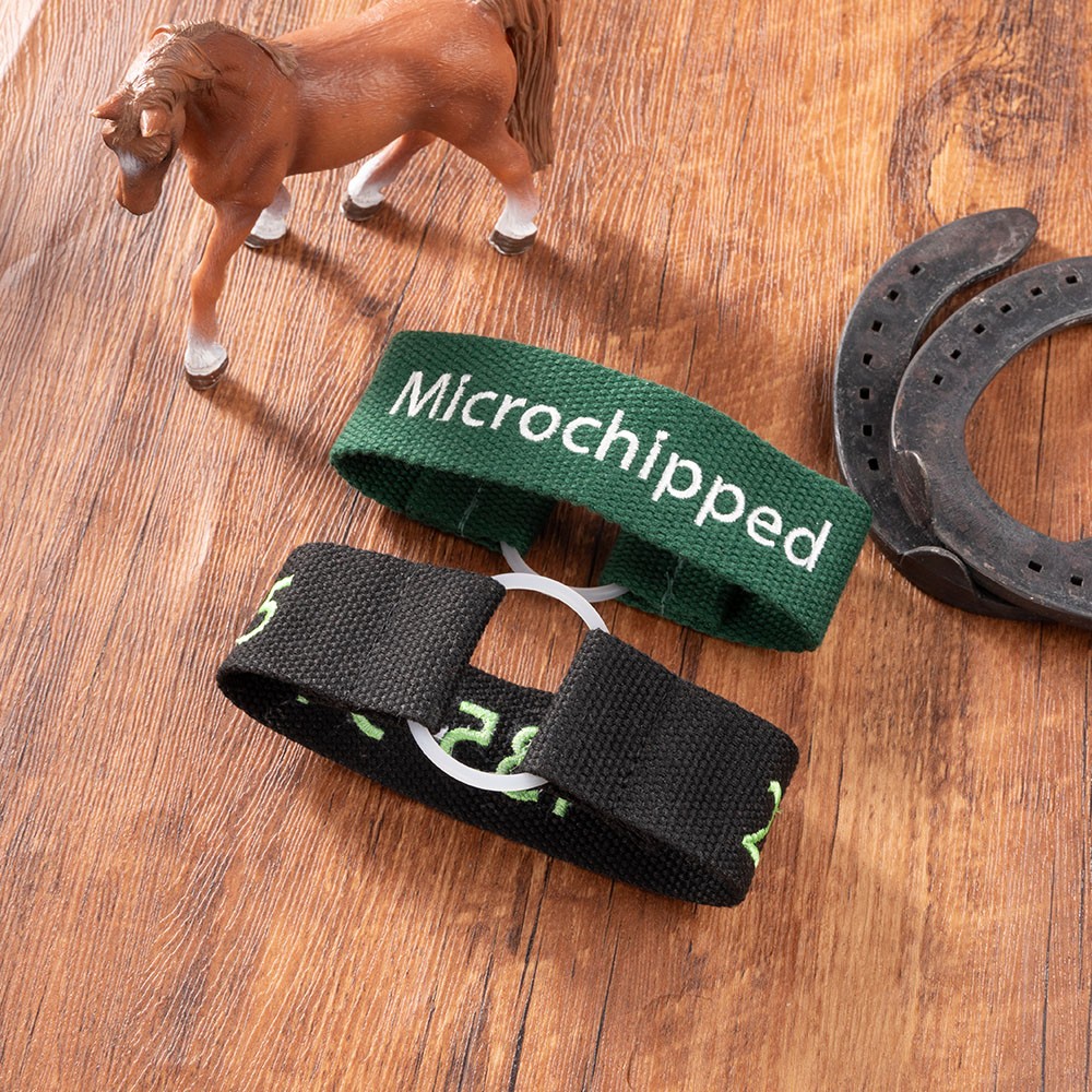 Emergency Contact ID Tag