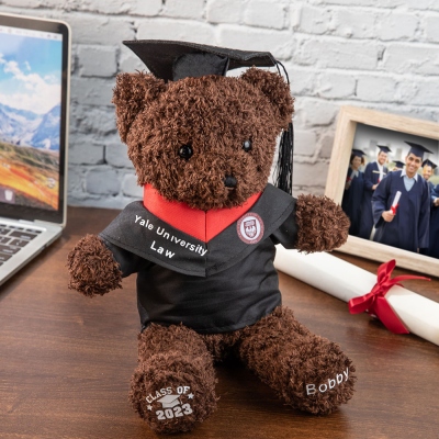 Custom Name Graduation Teddy Bear med skolmärke, plyschbjörn med Mortarboard, Graduation Gifts for Friends/Students/Kindergarten