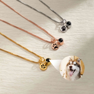 pet owner