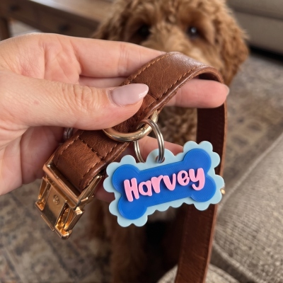 pet owner