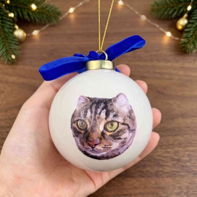 Pet Toy