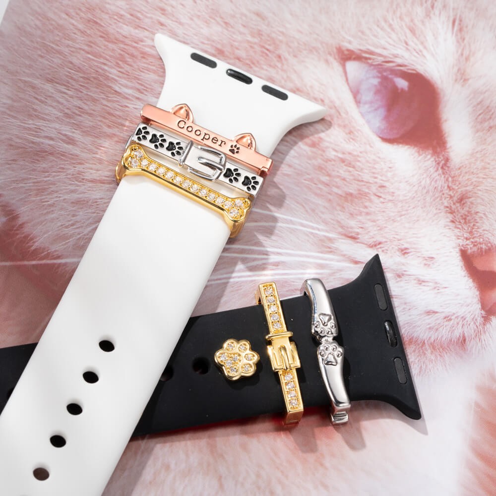 Fermoir Apple Watch