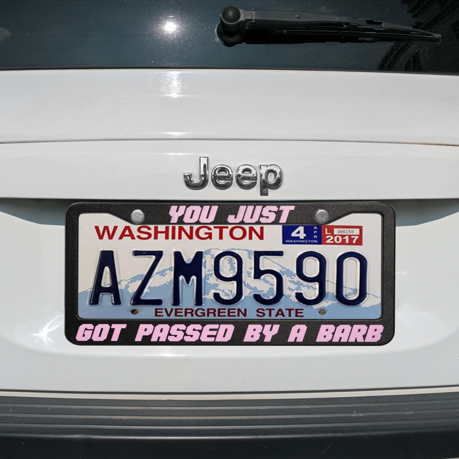 Nicki Minaj Inspired Barb License Plate Frame, License Plate, You Just Got Passed by a Barb, Auto Plate Frame Barb Car Accessories - Black and Pink