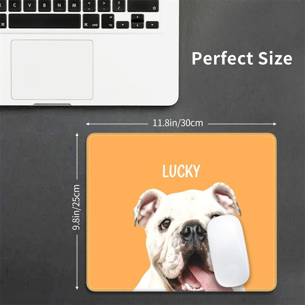 Computer Gadget