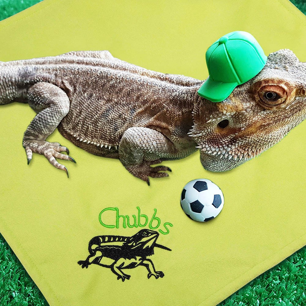 Personalized Name Bearded Dragon Blanket, Bearded Dragon Beds, Reptile/Gecko Tank Cave Decorations Accessories, Bearded Dragon Starter Kit