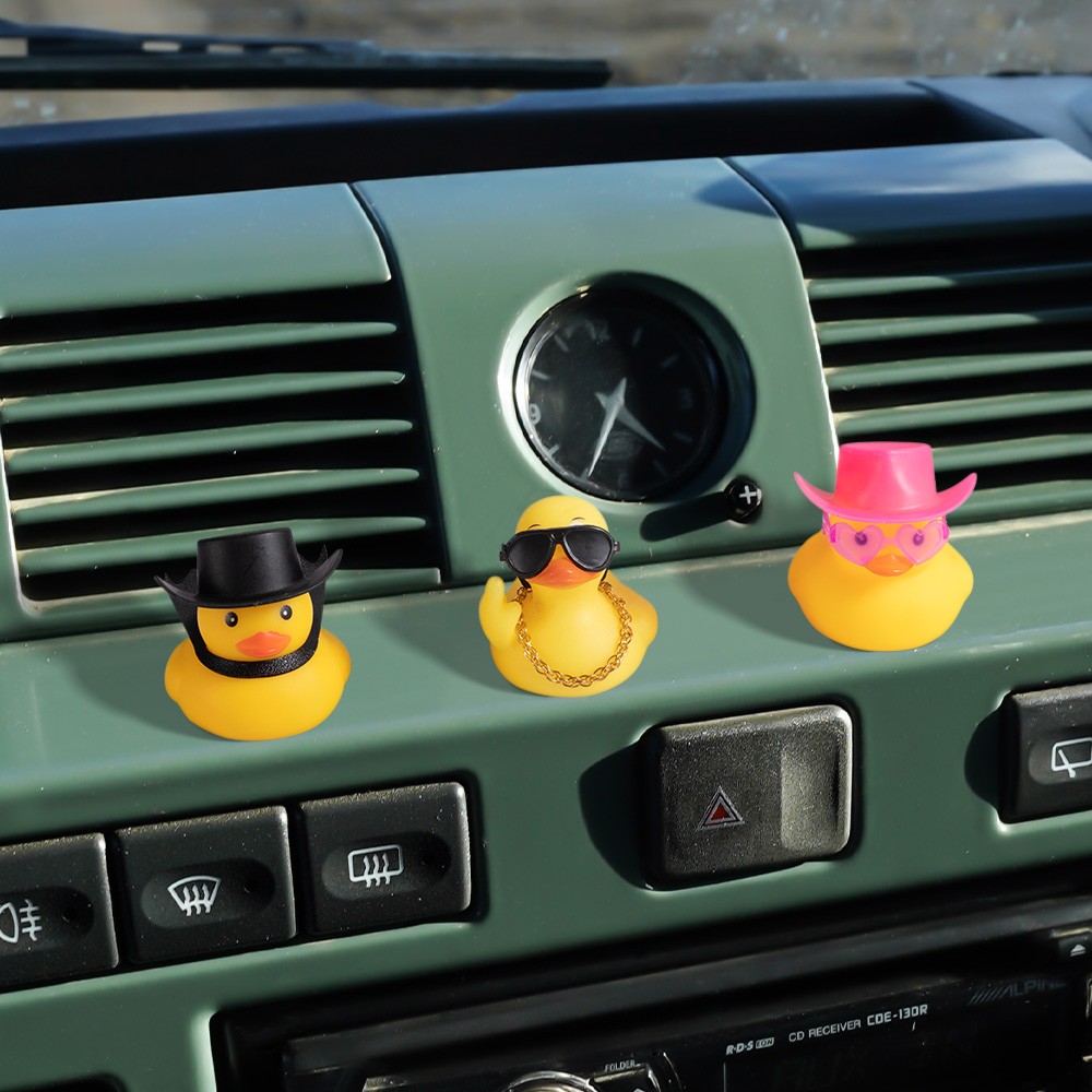 Duck
