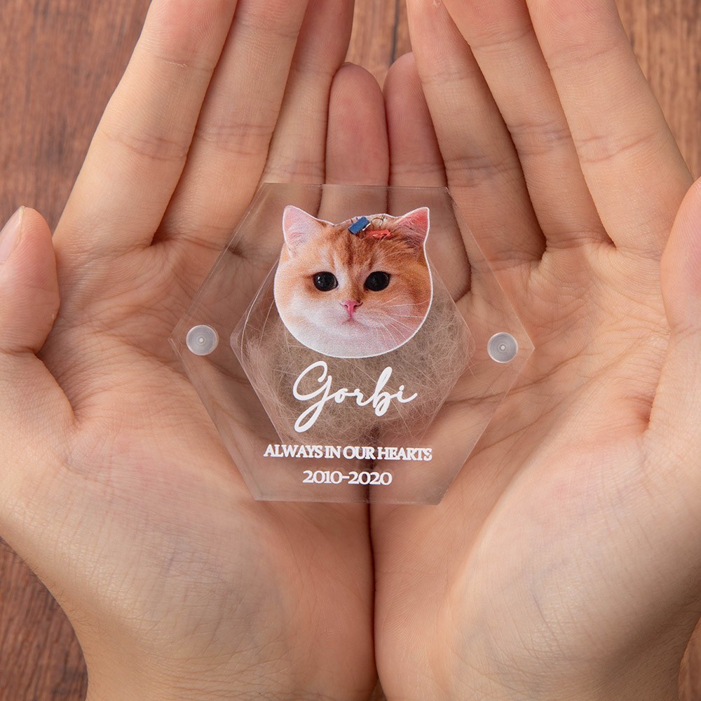 Pet Hair Keepsake