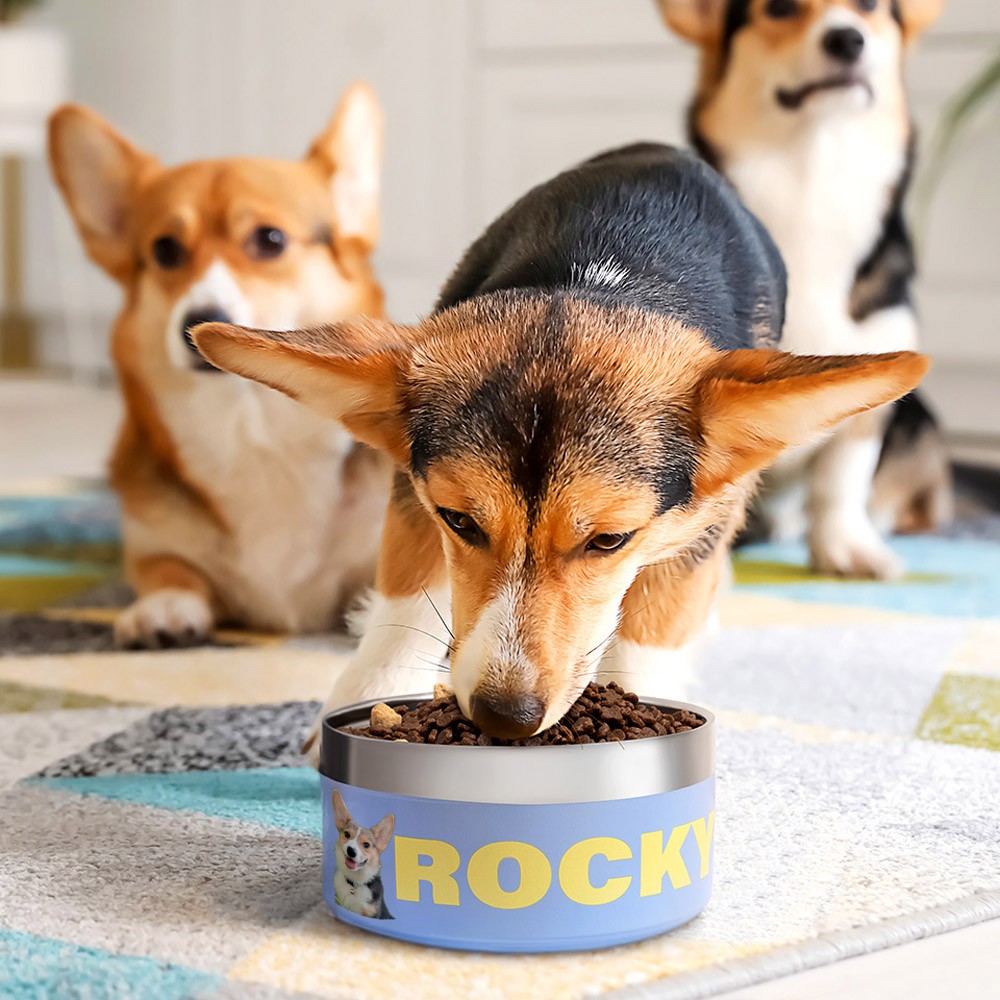 Personalized Photo & Name Dog Bowl, Custom Stainless Steel Pet Treat Container for Food & Water, Feeding Puppy Bowl Gifts for Small, Medium/Large Dogs
