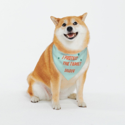 pet lover