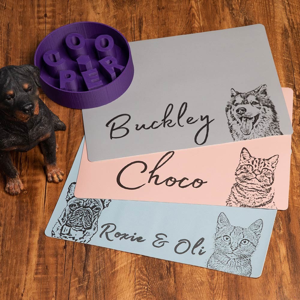 tapis d'alimentation pour chien