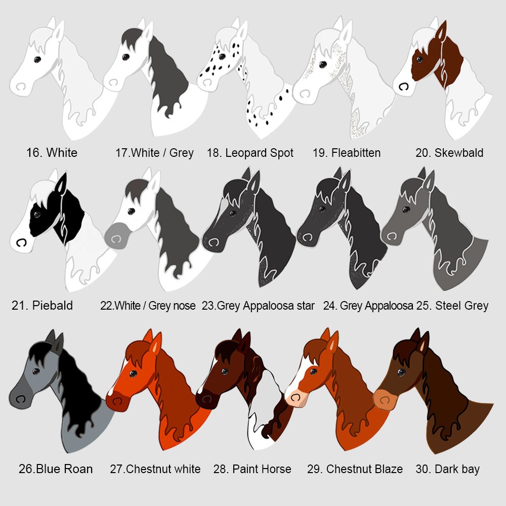 Horse Tack