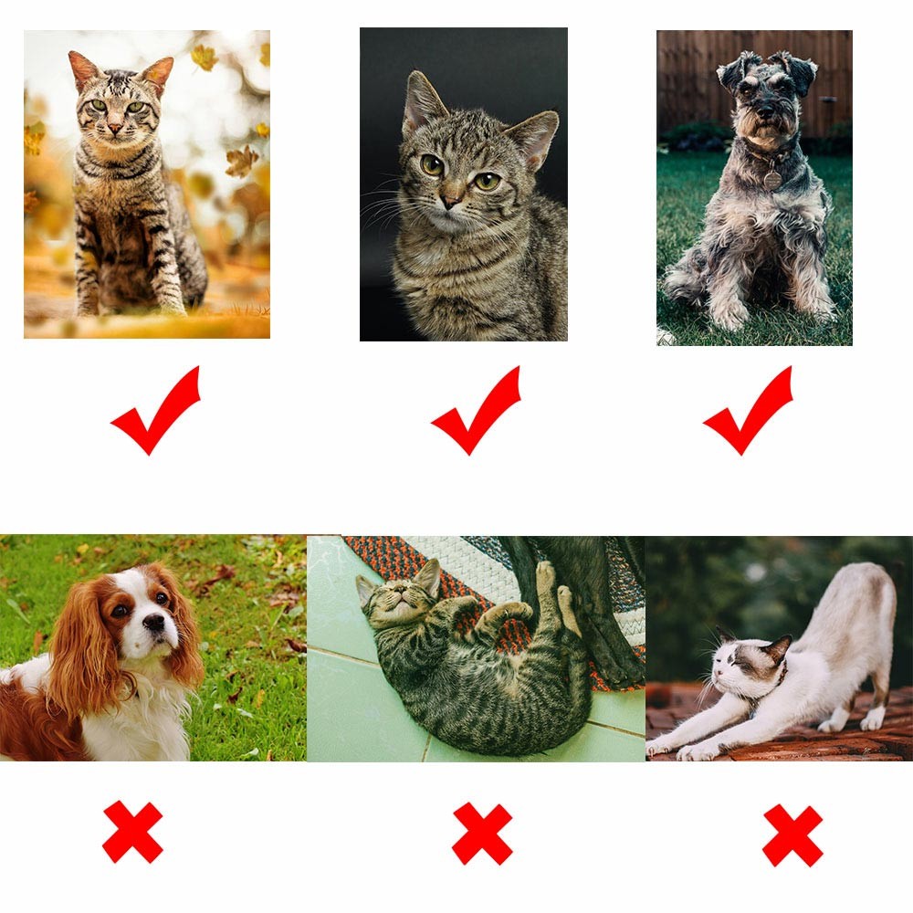 pet memorial gift