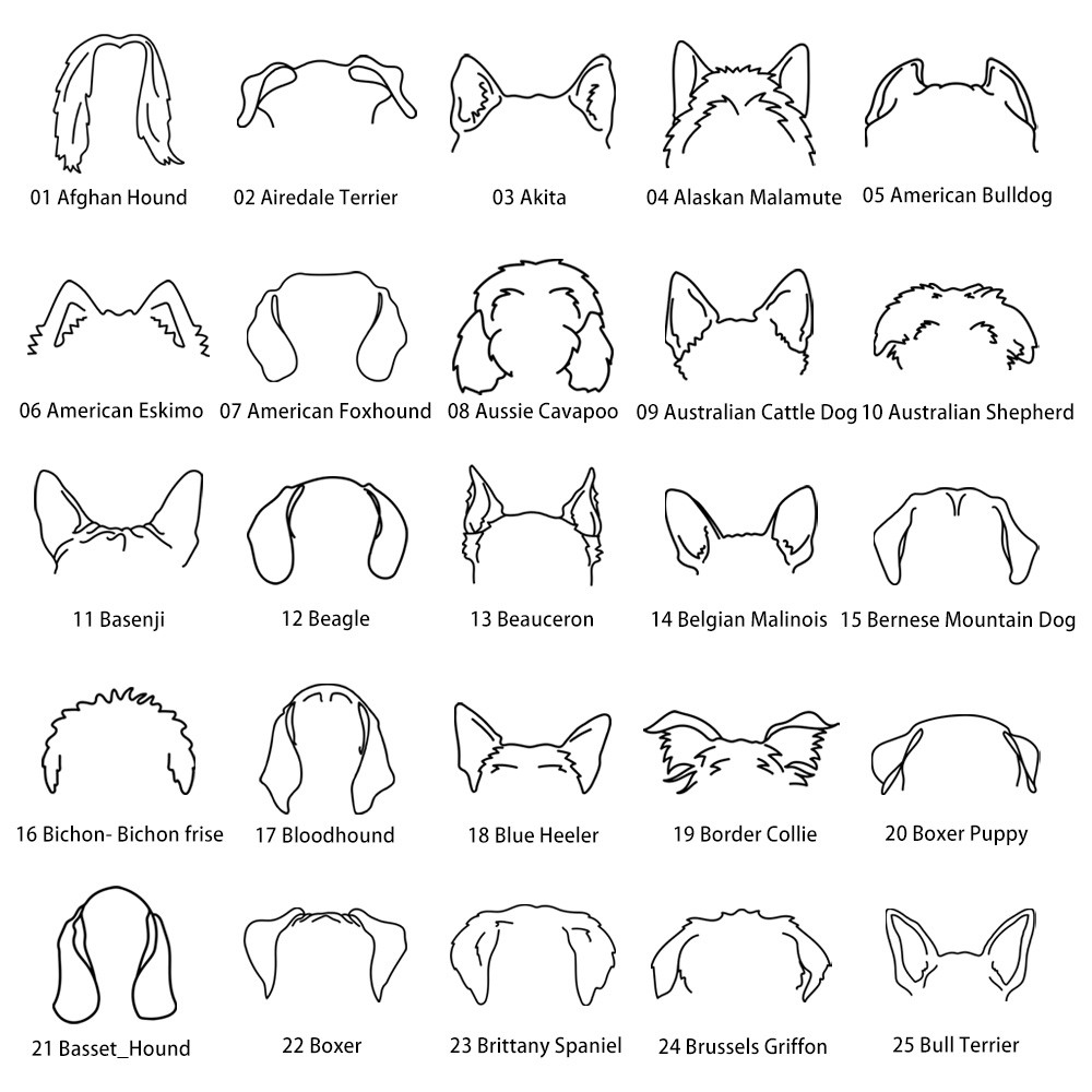dog ears