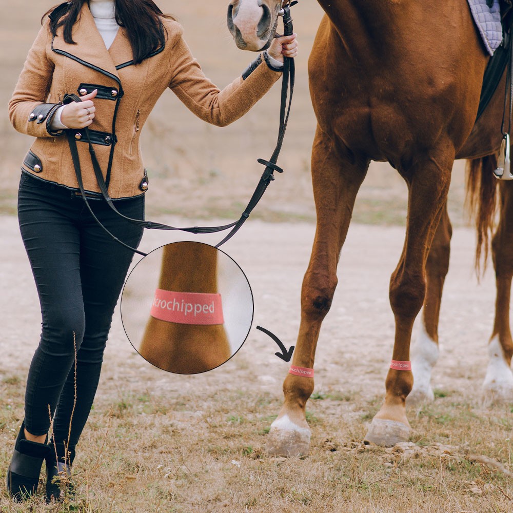 Gift for Horse Lover