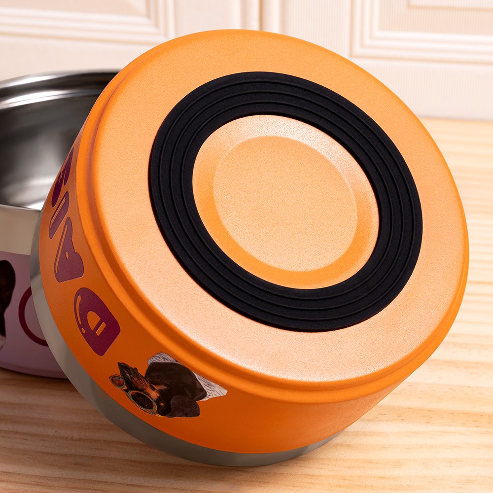 Personalized Photo & Name Dog Bowl, Custom Stainless Steel Pet Treat Container for Food & Water, Feeding Puppy Bowl Gifts for Small, Medium/Large Dogs