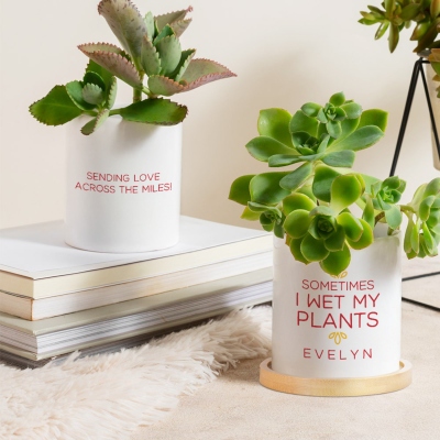 plant pot