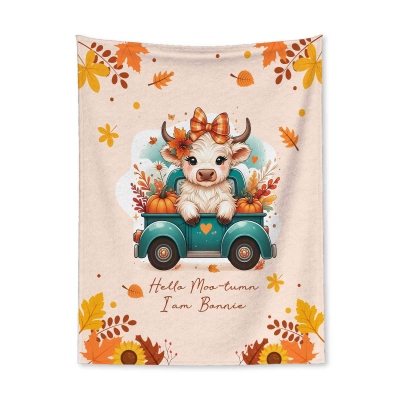 highland cow