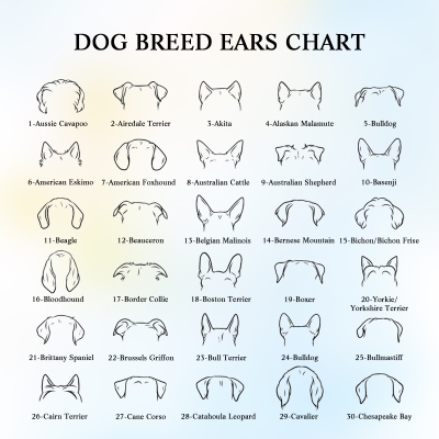 loss of pet