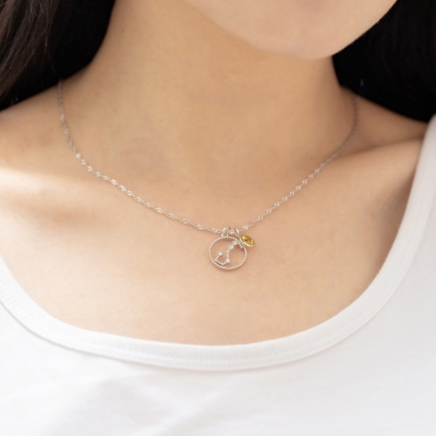 Personalisierte Birthstone Zodiac Halskette Geburtstagsgeschenk