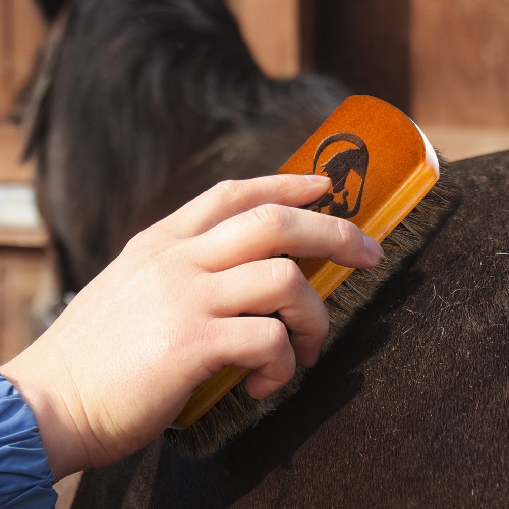 horse lover