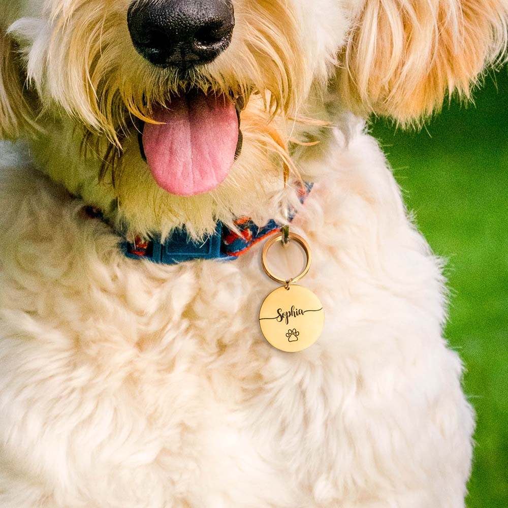 DOG TAG