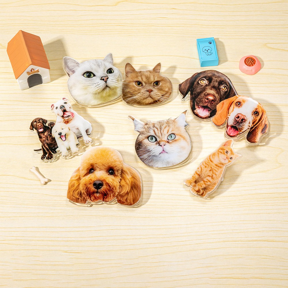 pet gift