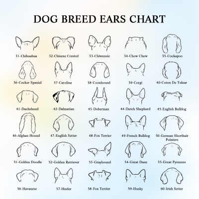 dog lover