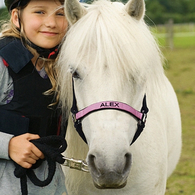 Licol Cheval Brodé Personnalisé