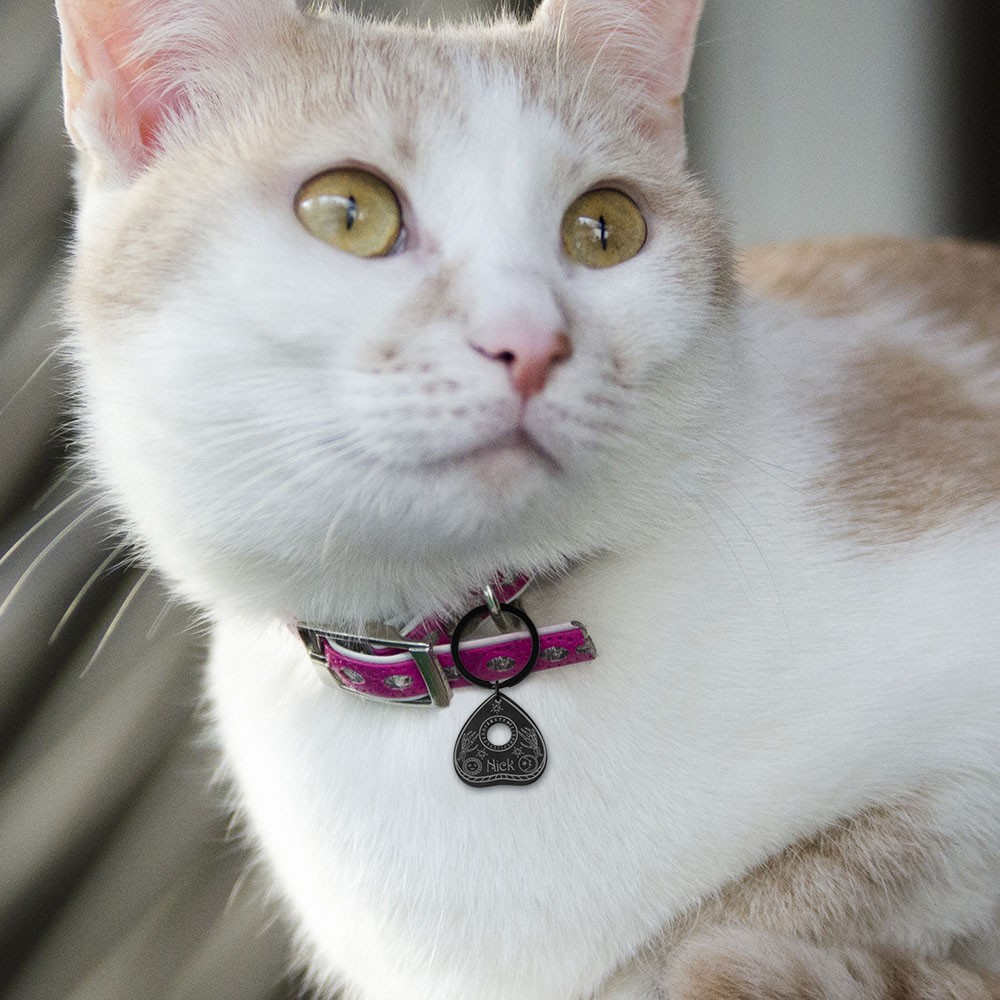 Médaille pour animaux de compagnie