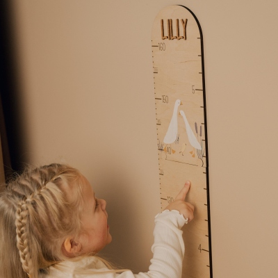 Personligt tillväxtdiagram för barnrum i bondgårdsstil med namn, gåskonstverk i trä, vägglinjal, rumsdekor, babyshower/födelsedagspresent för nyfödda/barn