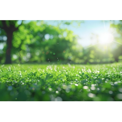 【测试专用】ForTest