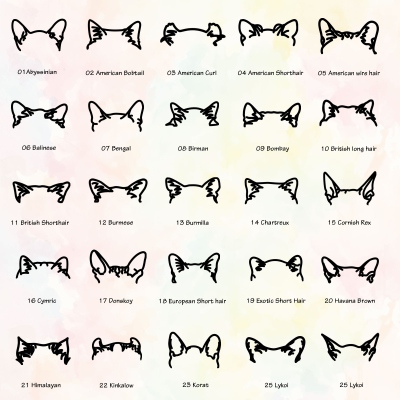 cat breed