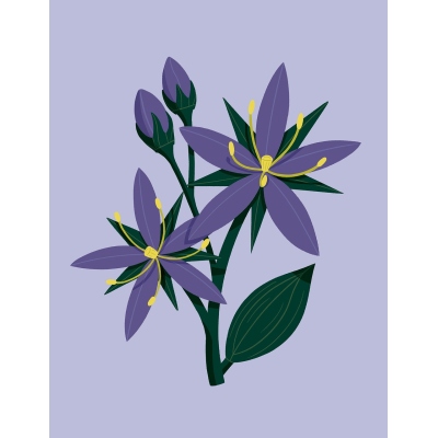 【测试专用】ForTest