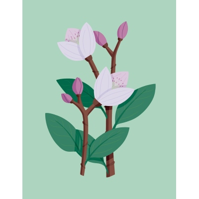 【测试专用】ForTest