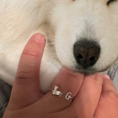 dog ring