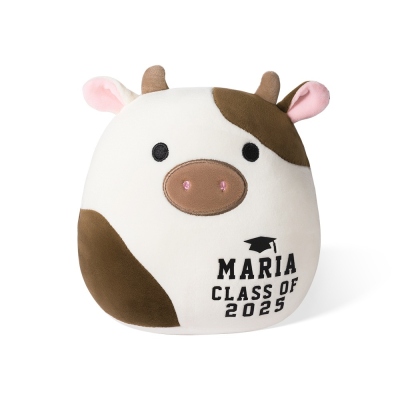 Personalized Name Class of 2024 Graduation Animal Plush Stuffed Toy, Cute Fluffy Squishmallows Animal Plushie, Bedroom Decor, Graduation Gift for Graduates/Friends