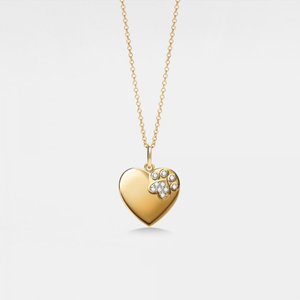 PERIMADE Heart Paw Photo Locket Necklace • Personalized Waterproof Picture Charm • Minimalist Pet Memorial Jewelry • Trendy Best Friend Gift