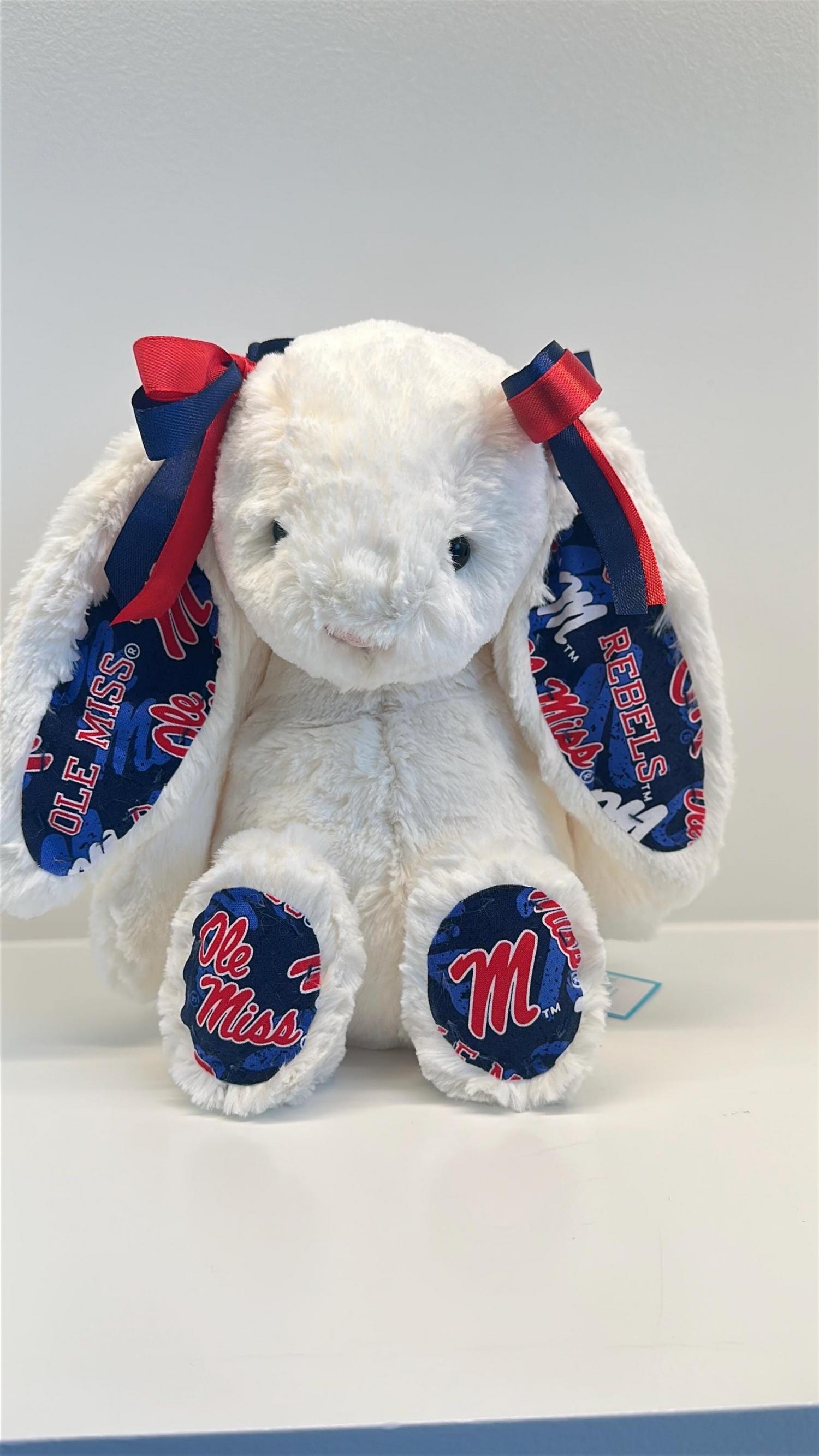 Custom Collegiate Jellycats: College Acceptance, Graduation, Alumni Gift - ALL Schools | Handmade to Order | Please Read Before Purchasing
