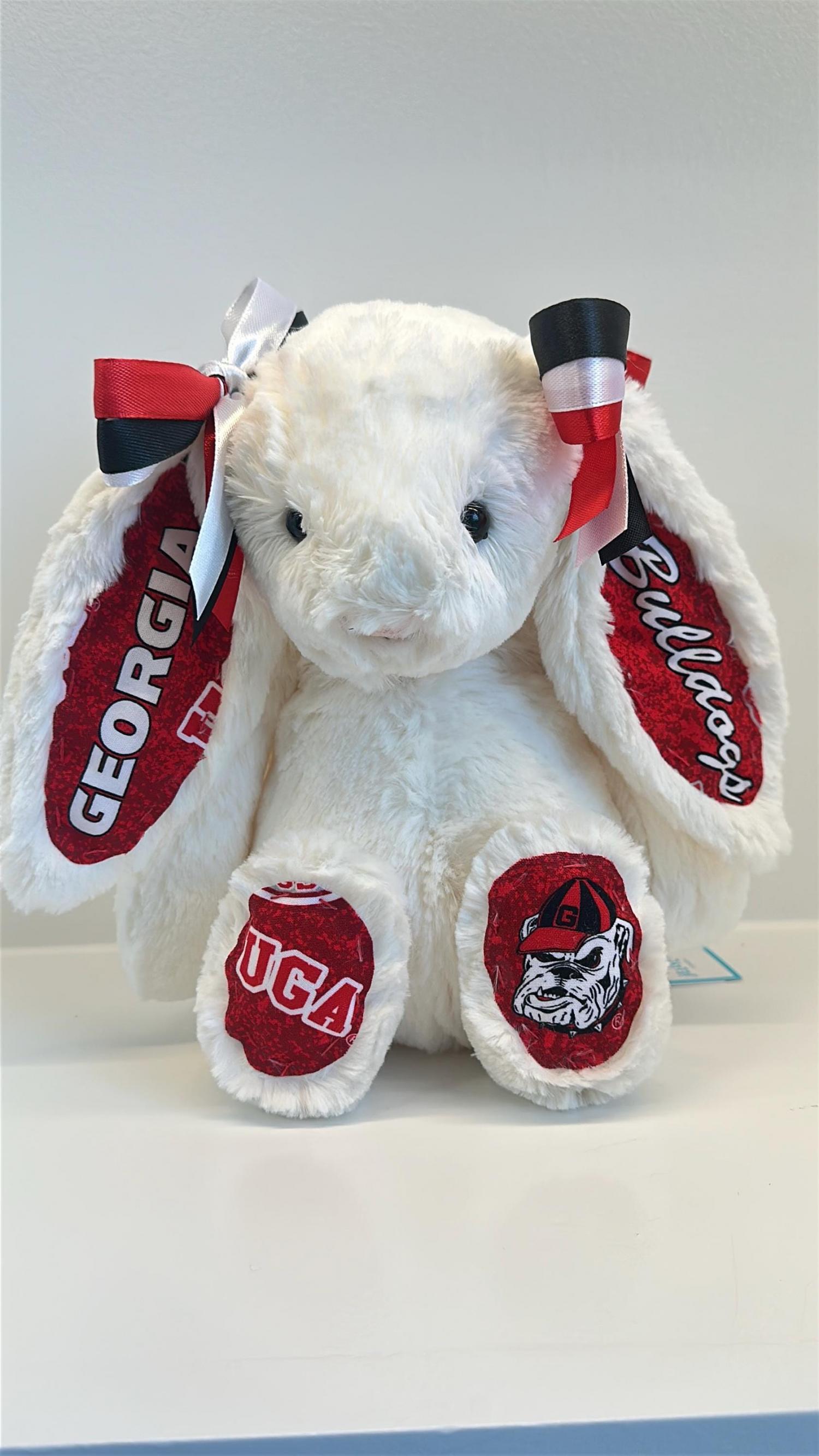 Custom Collegiate Jellycats: College Acceptance, Graduation, Alumni Gift - ALL Schools | Handmade to Order | Please Read Before Purchasing