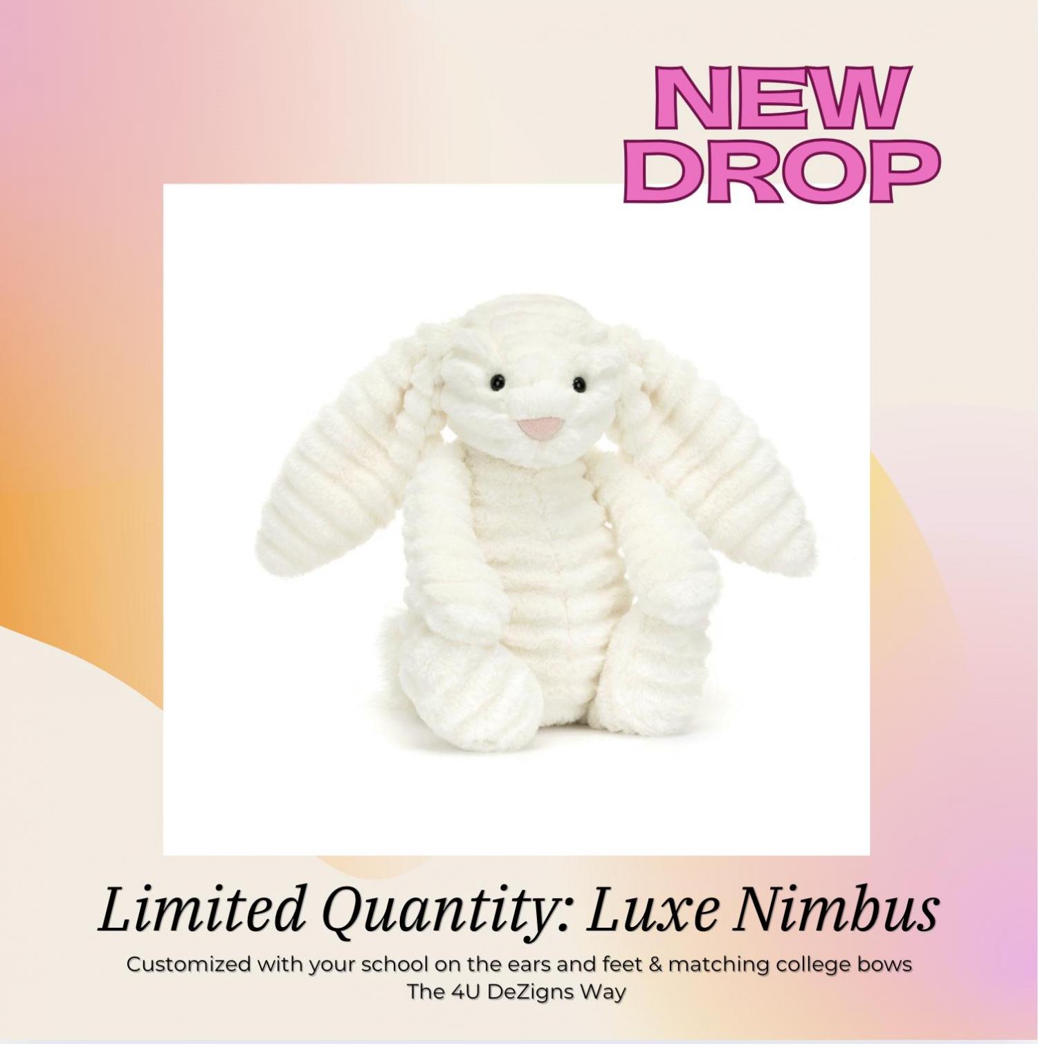 Custom Collegiate Jellycats: College Acceptance, Graduation, Alumni Gift - ALL Schools | Handmade to Order | Please Read Before Purchasing