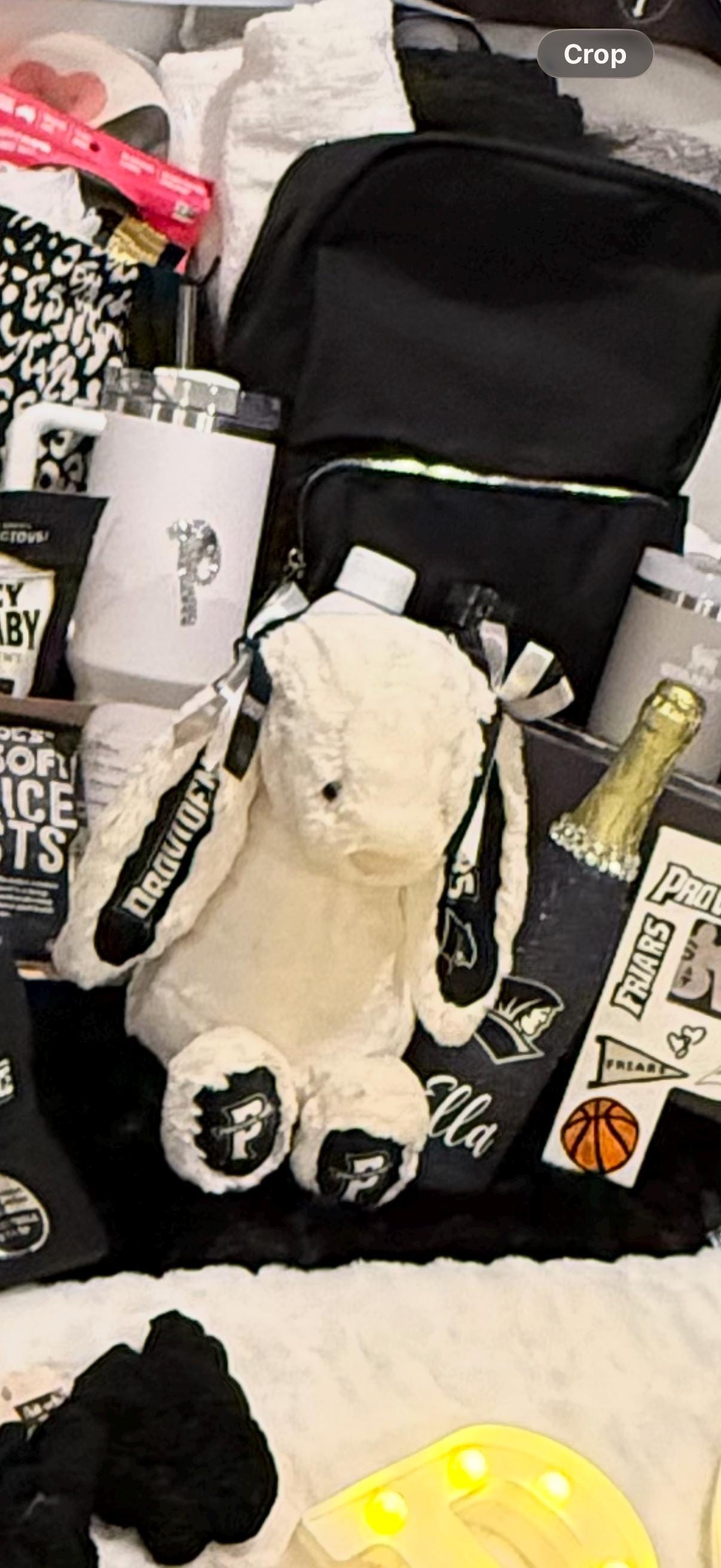 Custom Collegiate Jellycats: College Acceptance, Graduation, Alumni Gift - ALL Schools | Handmade to Order | Please Read Before Purchasing