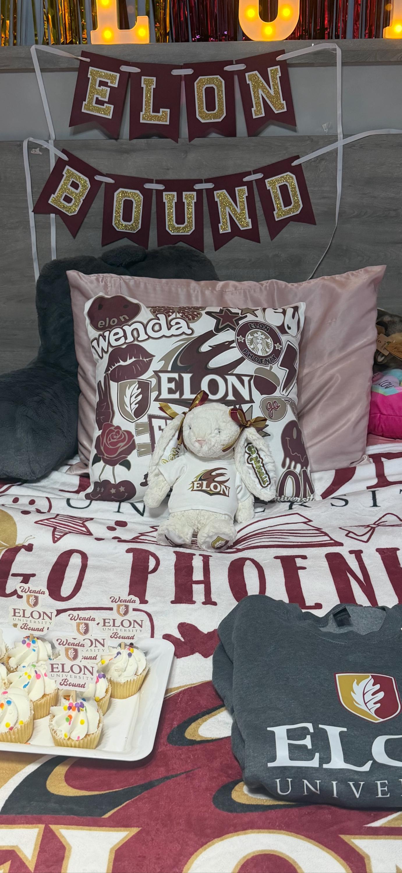 Custom Collegiate Jellycats: College Acceptance, Graduation, Alumni Gift - ALL Schools | Handmade to Order | Please Read Before Purchasing