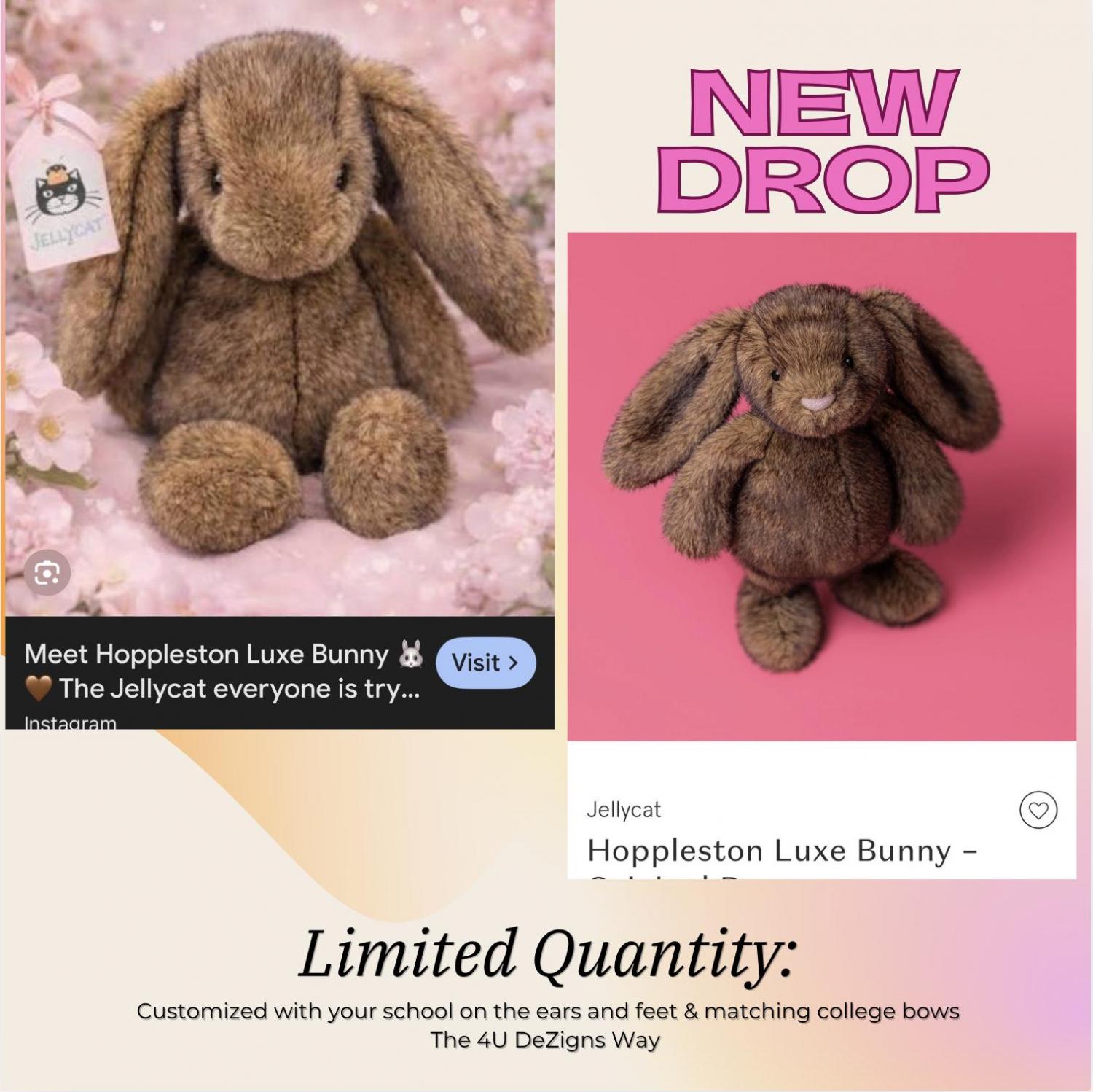 Custom Collegiate Jellycats: College Acceptance, Graduation, Alumni Gift - ALL Schools | Handmade to Order | Please Read Before Purchasing