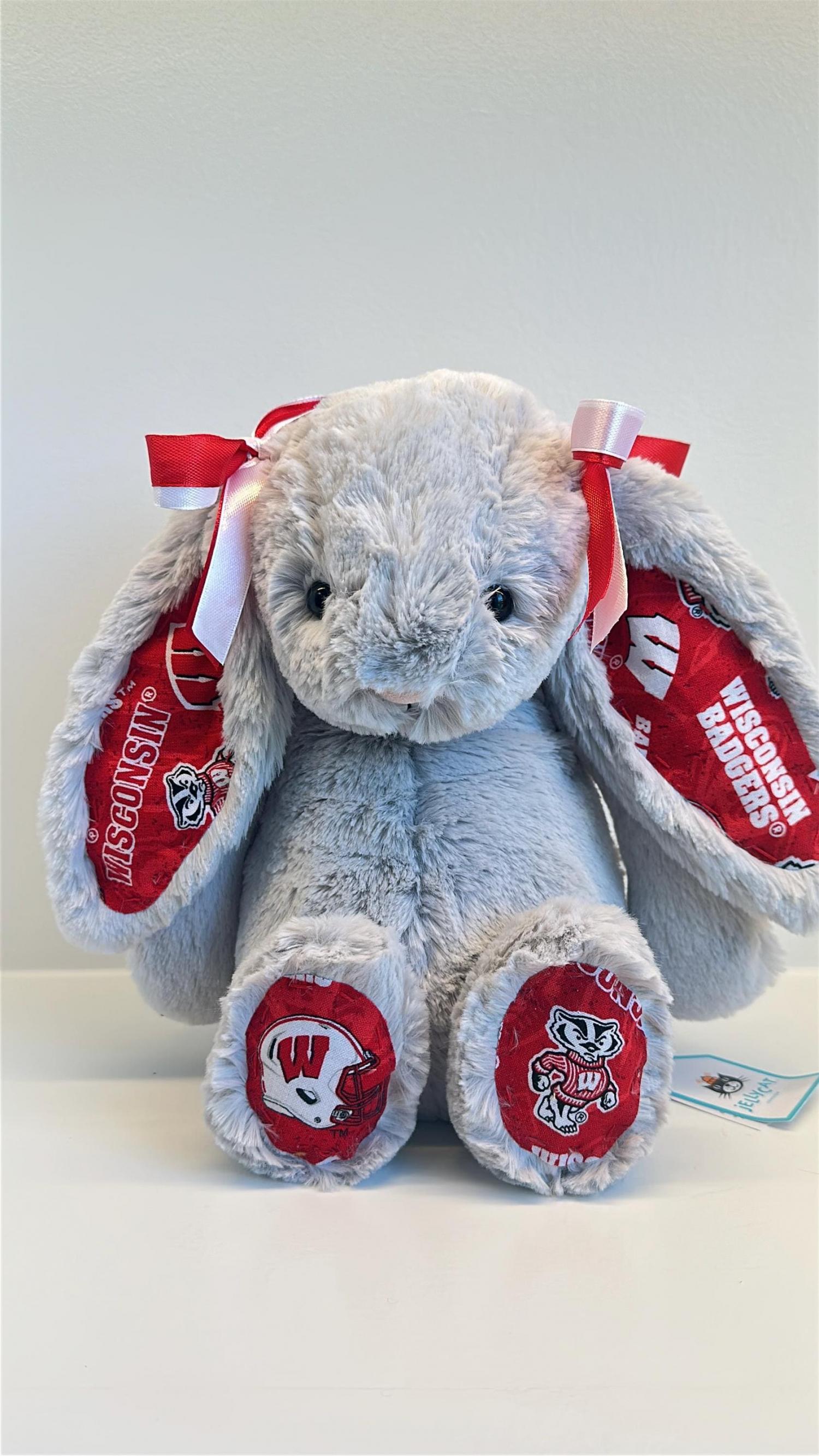 Custom Collegiate Jellycats: College Acceptance, Graduation, Alumni Gift - ALL Schools | Handmade to Order | Please Read Before Purchasing