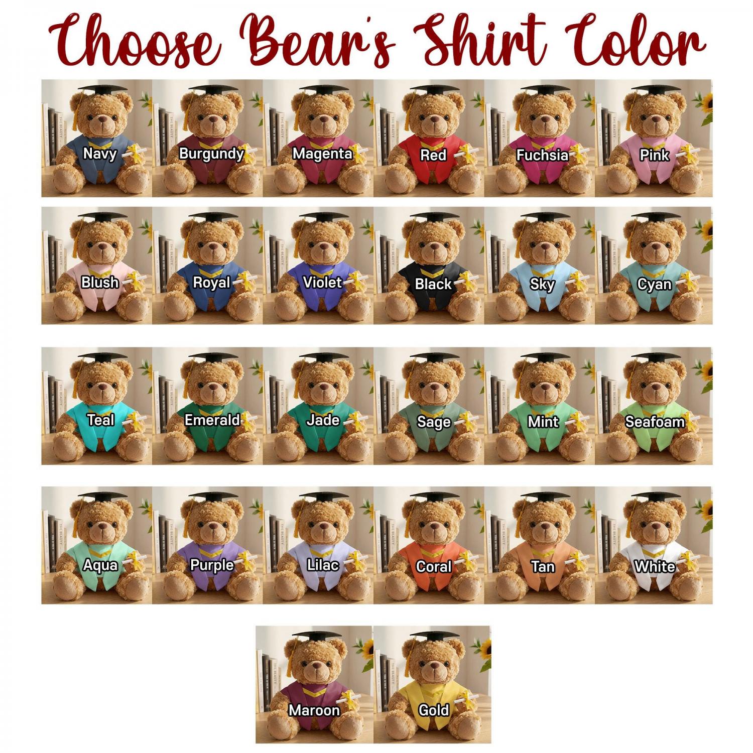 Personalized Graduation Teddy Bear Gift For Her, Custom Class Of 2026 Plush Toy, High School College Senior Present, Graduation Keepsake