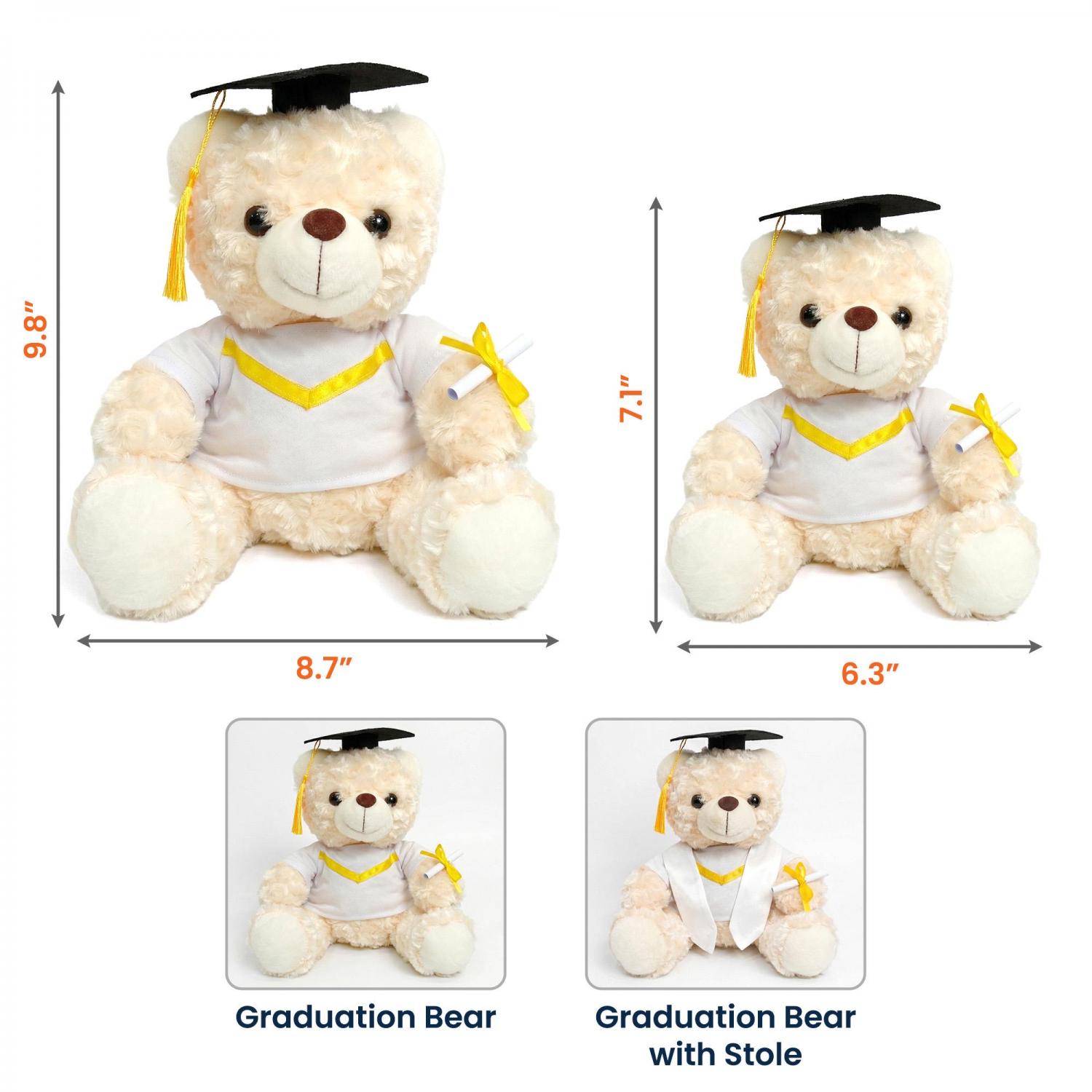 Personalized Graduation Teddy Bear Gift For Her, Custom Class Of 2026 Plush Toy, High School College Senior Present, Graduation Keepsake