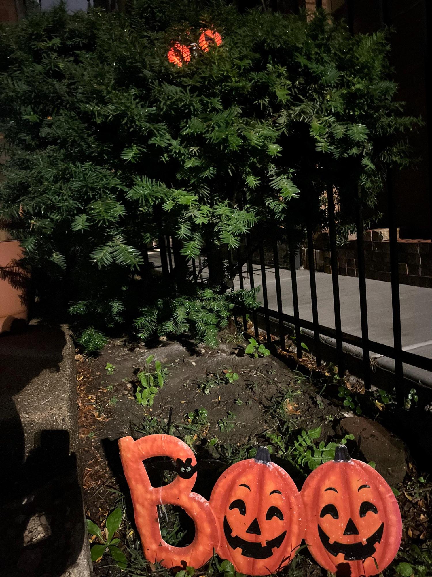 MINI Creepy Glowing Eyes Halloween Decoration - Remote Control, Timer, Battery Powered, Place Anywhere!