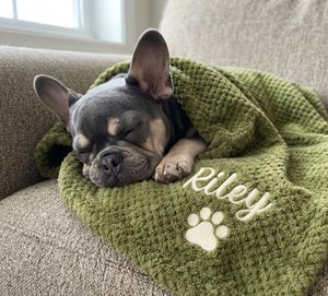 Personalized Waffle Pet Blanket, Custom Embroidered Dog Cat Name Throw