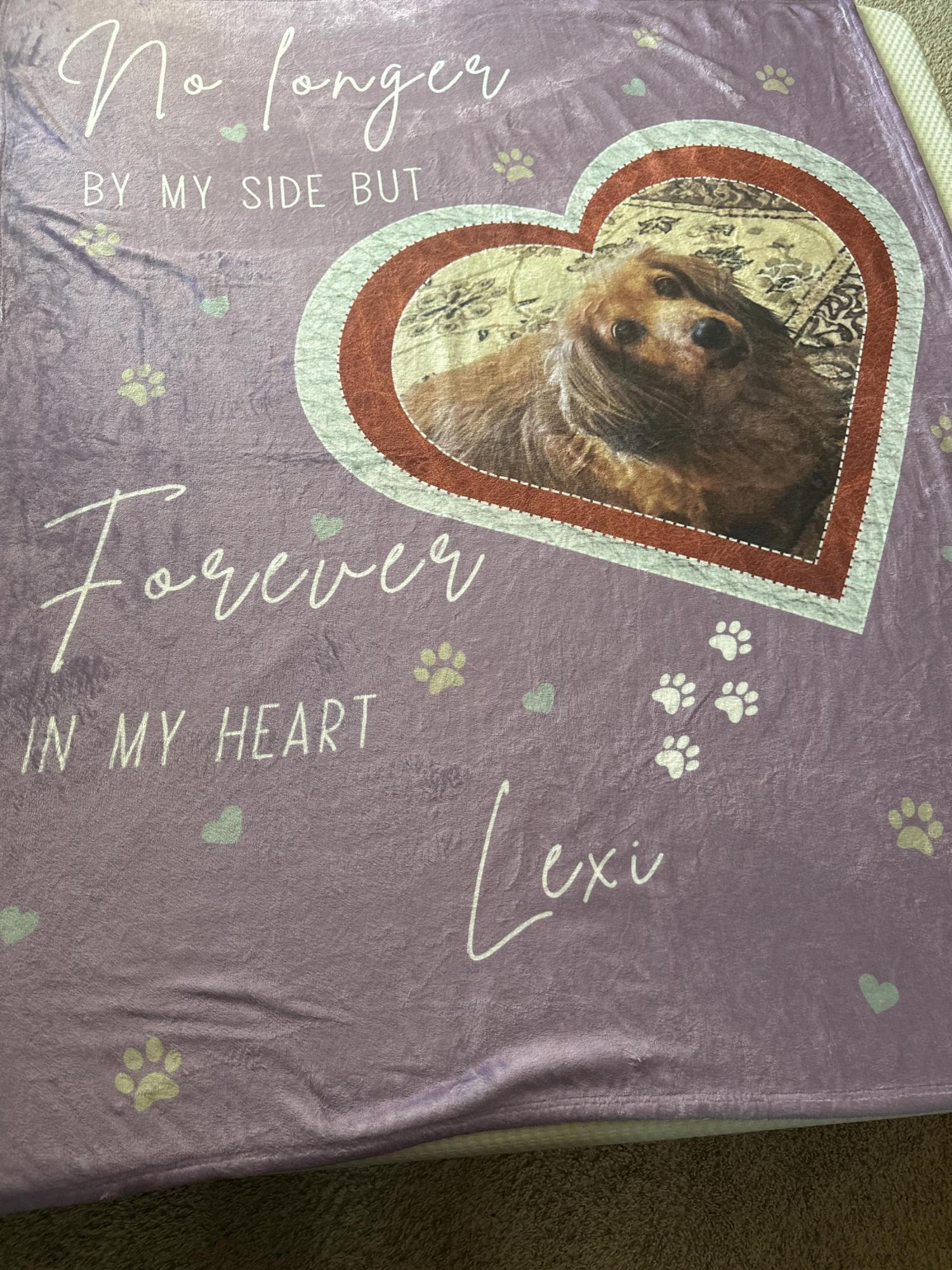 Personalized Dog Memorial Photo Blanket Gift, Dog Loss Pet Memory Gifts, Pet Loss Keepsake Remembrance Gift For Dog Mom Dad Bereavement Gift