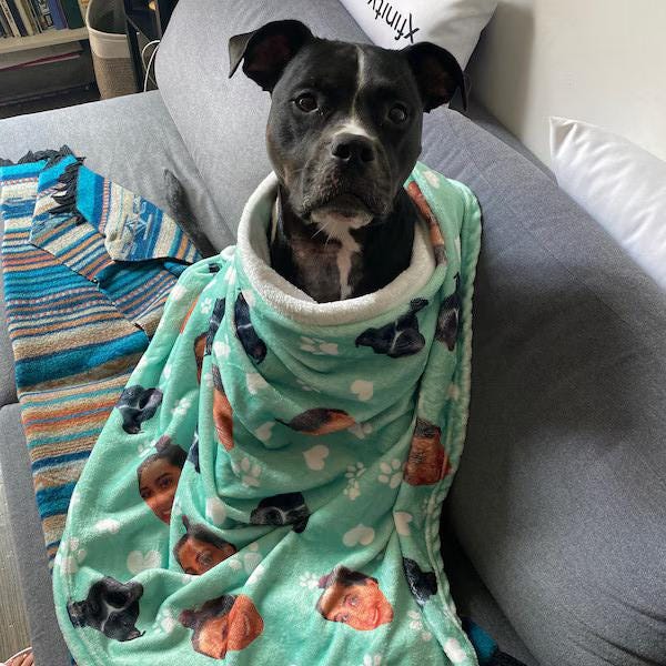 Custom Pet Picture Blanket, Personalized Face Blankets, Dog Cat Memorial Gifts, Christmas Gift